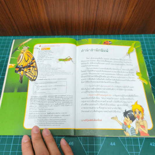 Why? ตะลุยโลกแมลง รูปที่ 7