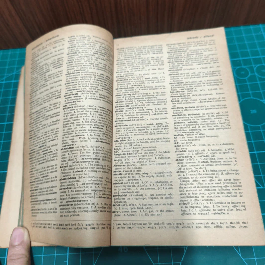 The American Heritage Dictionary of the English Language รูปที่ 7