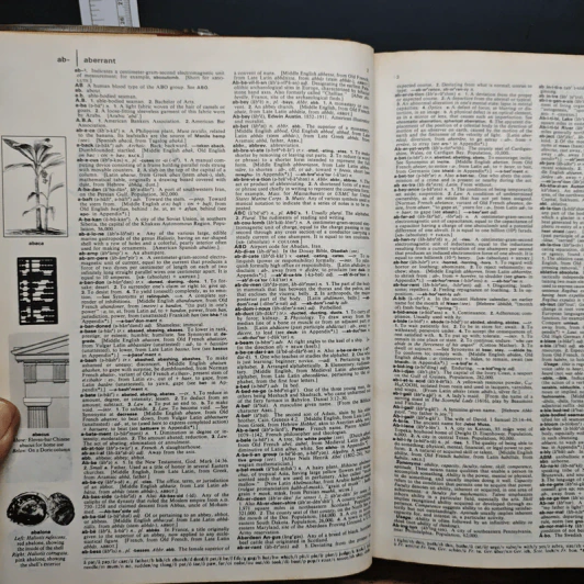 The American Heritage Dictionary of the English Language รูปที่ 9