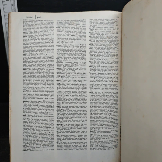The American Heritage Dictionary of the English Language รูปที่ 10