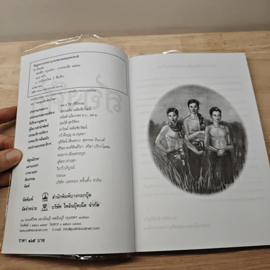 สองศึก - ไม้ เมืองเดิม รูปที่ 6