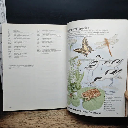 Collins Junior Dictionary รูปที่ 9