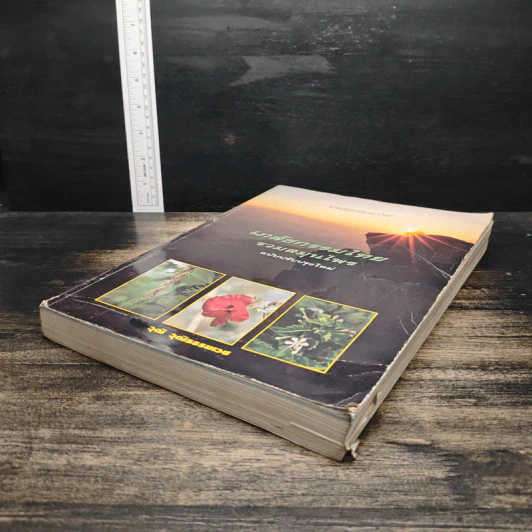 เภสัชกรรมไทย รวมสมุนไพร ฉบับปรับปรุงใหม่ - วุฒิ วุฒิธรรมเวช รูปที่ 4