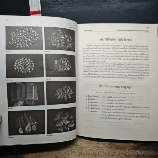 เภสัชกรรมไทย รวมสมุนไพร ฉบับปรับปรุงใหม่ - วุฒิ วุฒิธรรมเวช รูปที่ 16
