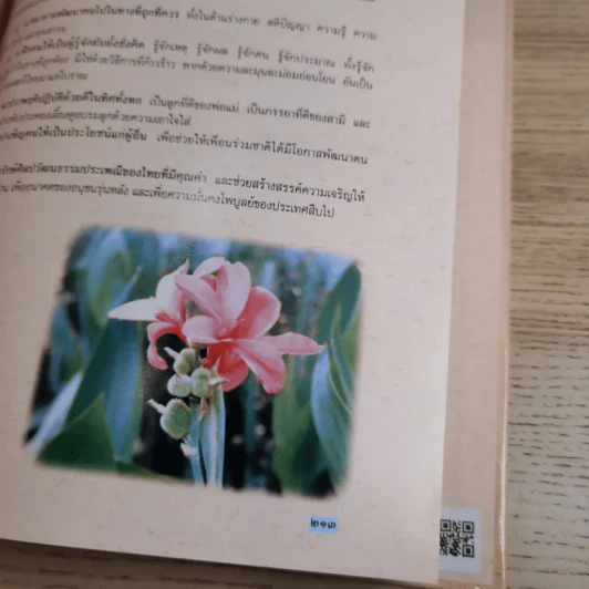 สตรีไทย - คณะกรรมการส่งเสริมและประสานงานสตรีแห่งชาติ (กสส.) สำนักนายกรัฐมนตรี รูปที่ 13