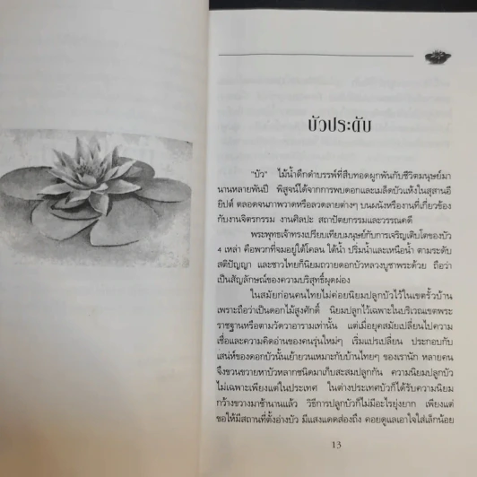 คู่มือการปลูก บัวประดับ - สุปราณี วนิชชานนท์ รูปที่ 12