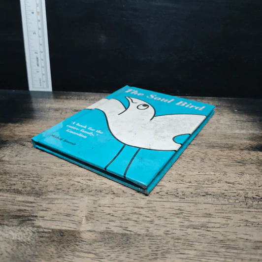 The Soul Bird - Michal Snunit รูปที่ 4