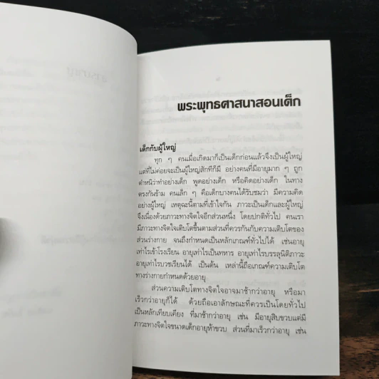 พระพุทธศาสนาสอนเด็ก รูปที่ 8
