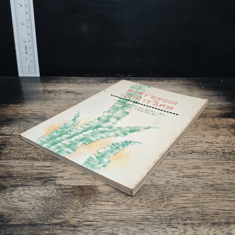 สาหร่ายทะเล : อาหารวิเศษ - คาวามูระ โอะซะมุ, มิยะโตะคะ รูปที่ 4
