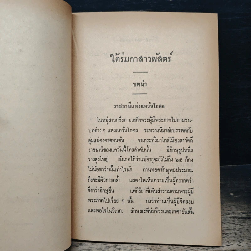 ใต้ร่มกาสาวพัสตร์ - สุชีโว ภิกขุ รูปที่ 7