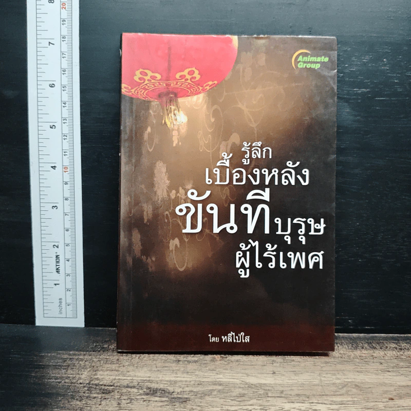 รู้ลึกเบื้องหลังขันทีบุรุษผู้ไร้เพศ - หลี่ไป่ใส รูปที่ 1