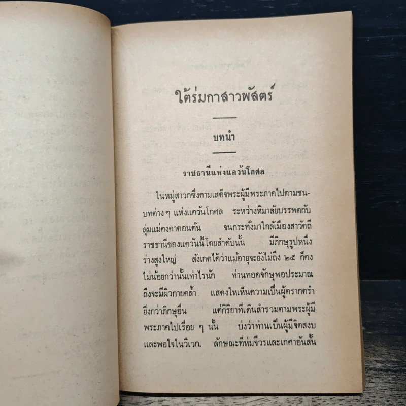 ใต้ร่มกาสาวพัสตร์ - สุชีโว ภิกขุ รูปที่ 7