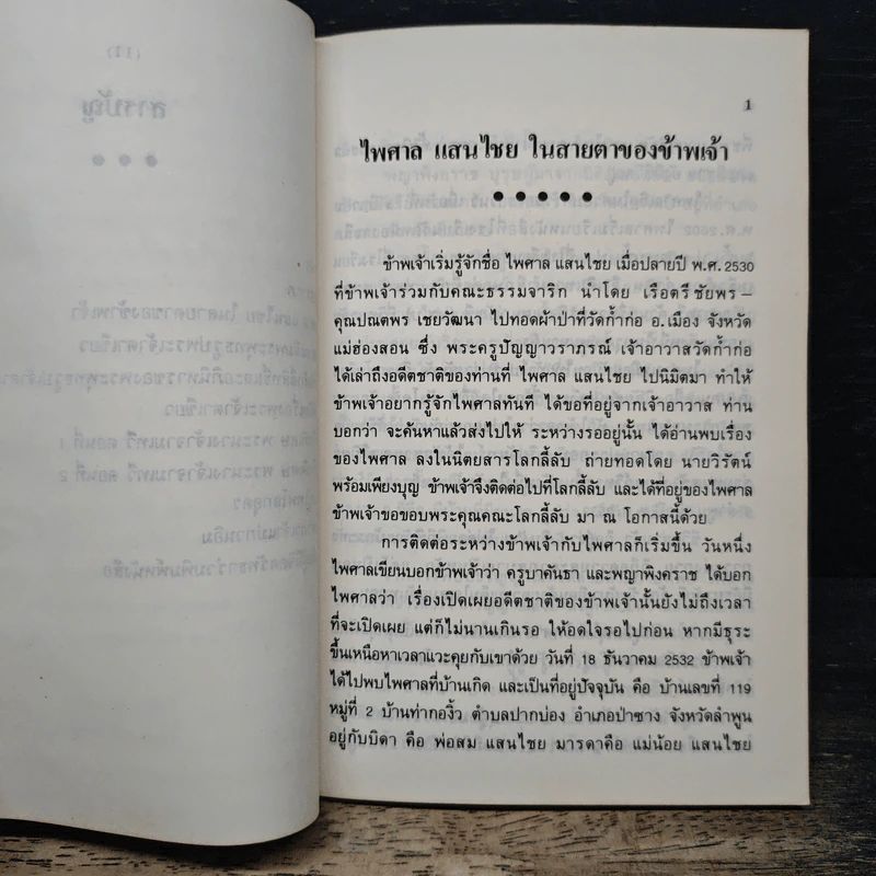 พระเจ้าตาเขียว วัดบ้านเหล่า ต.บ้านเรือน อ.ป่าซาง จ.ลำพูน รูปที่ 9