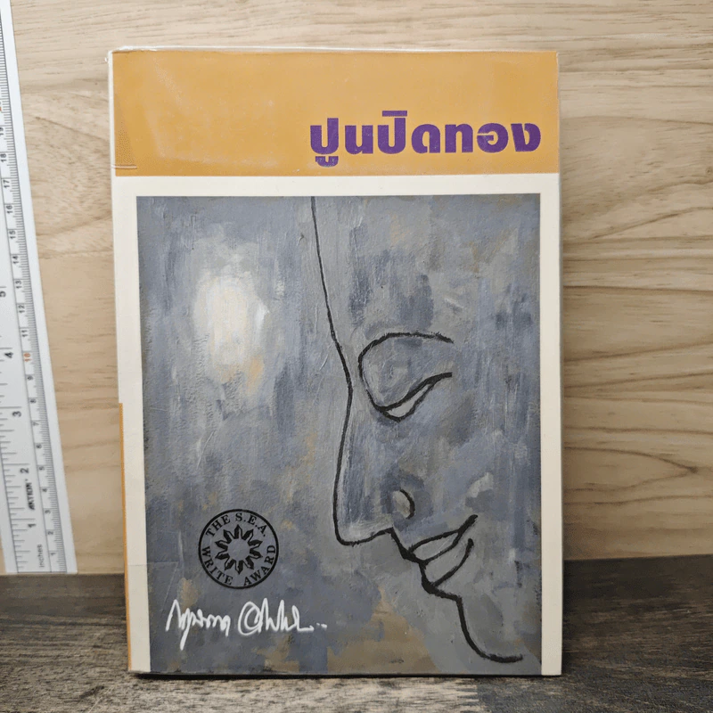 ปูนปิดทอง - กฤษฎา อโศกสิน รูปที่ 1