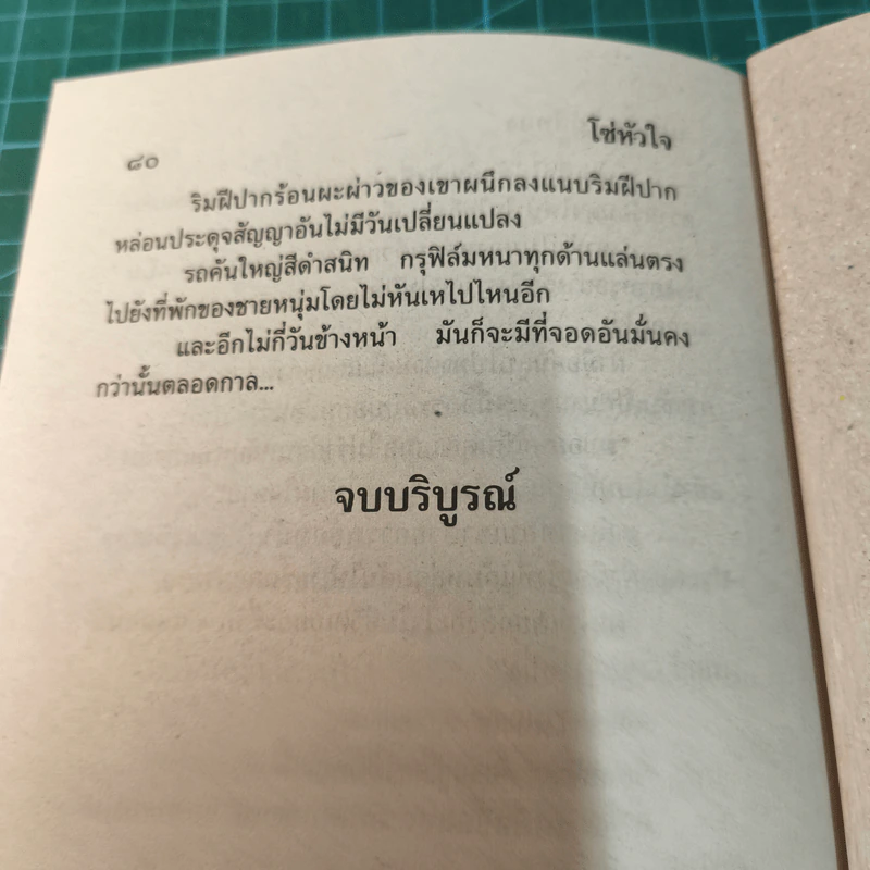 โซ่หัวใจ - นภาลัย ไผ่สีทอง รูปที่ 9