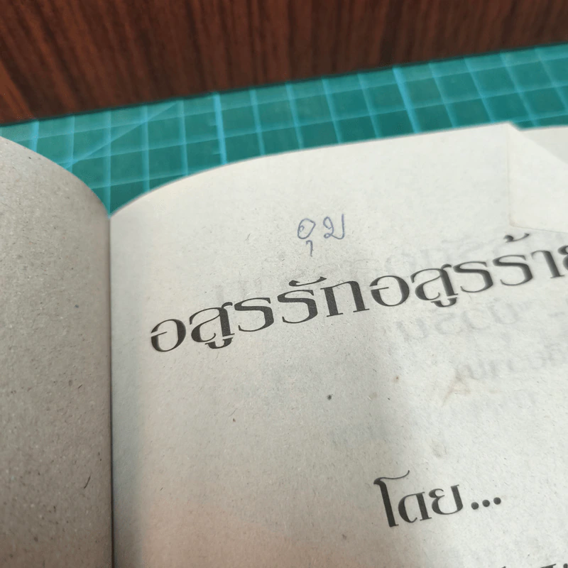 อสูรรักอสูรร้าย - บัวริน รูปที่ 7
