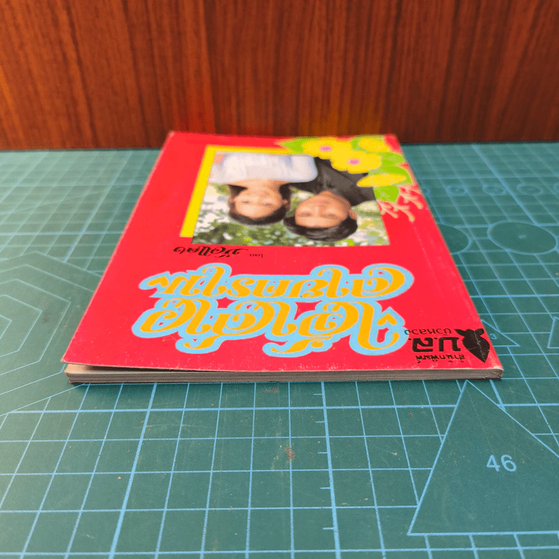 เจ้าสาวลายคราม - บัวแดง รูปที่ 4
