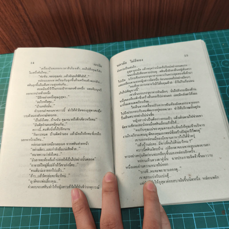 เงารัก - นภาลัย ไผ่สีทอง รูปที่ 7