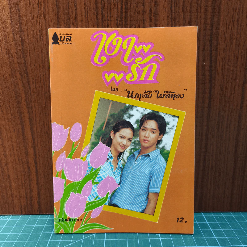 เงารัก - นภาลัย ไผ่สีทอง รูปที่ 1