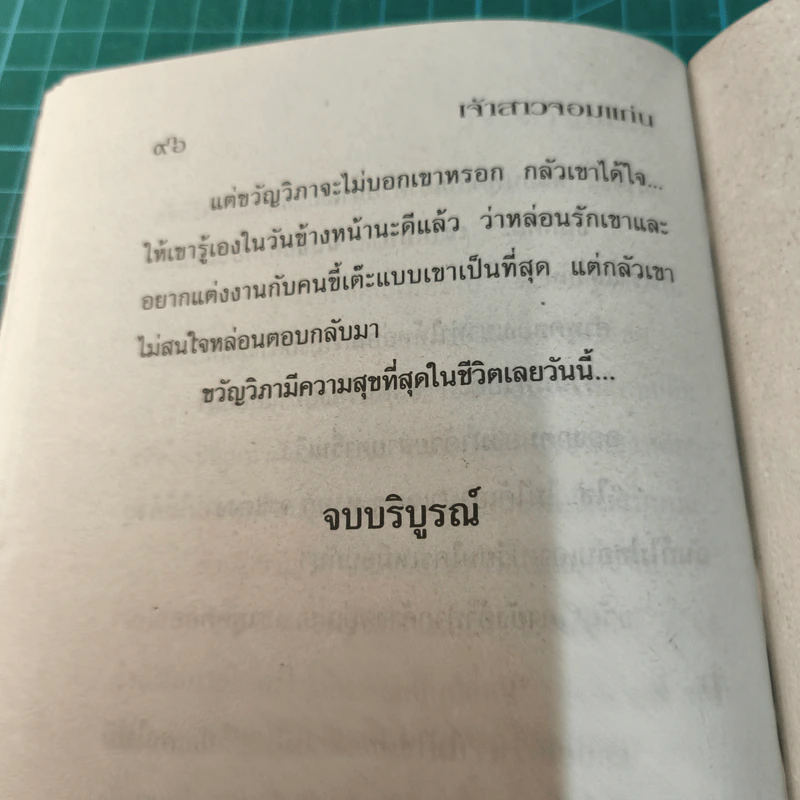 เจ้าสาวจอมแก่น - บัวริน รูปที่ 9