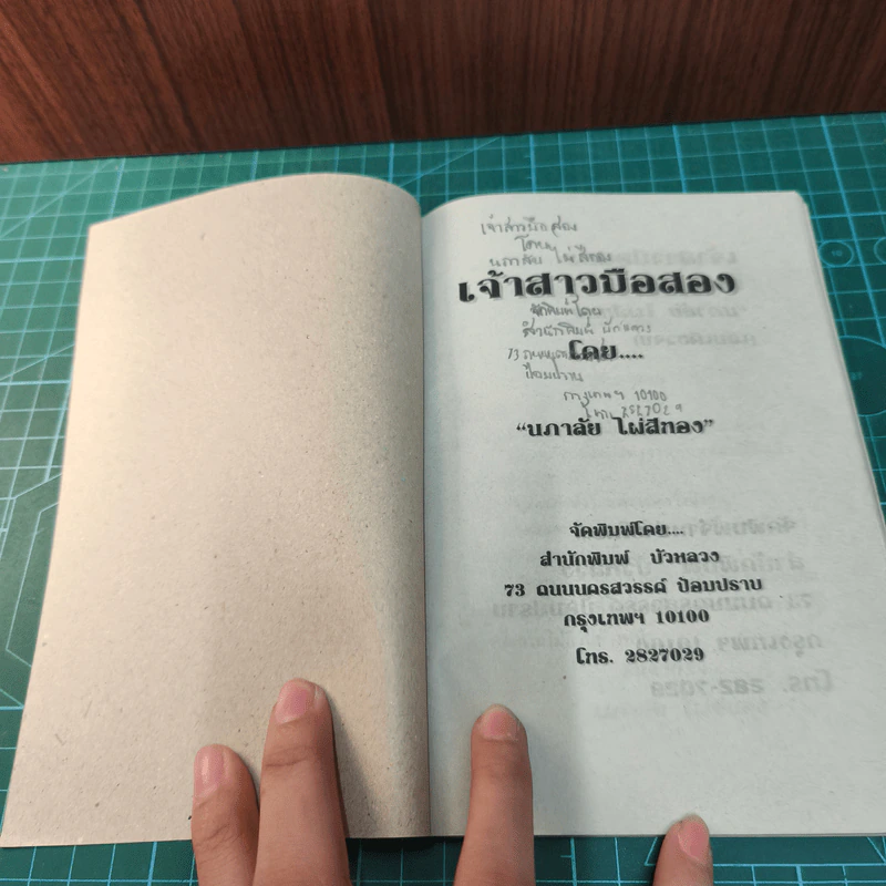 เจ้าสาวมือสอง - นภาลัย ไผ่สีทอง รูปที่ 7