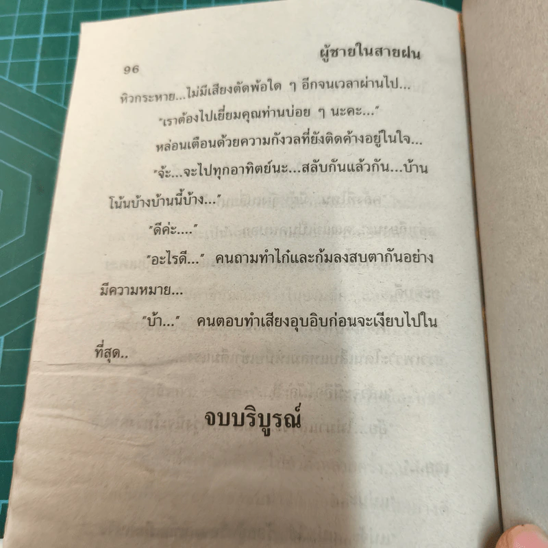 ผู้ชายในสายฝน - นภาลัย ไผ่สีทอง รูปที่ 11