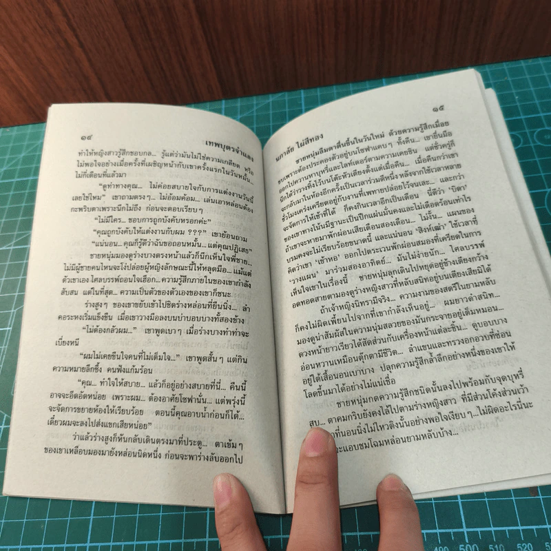 เทพบุตรจำแลง - นภาลัย ไผ่สีทอง รูปที่ 8