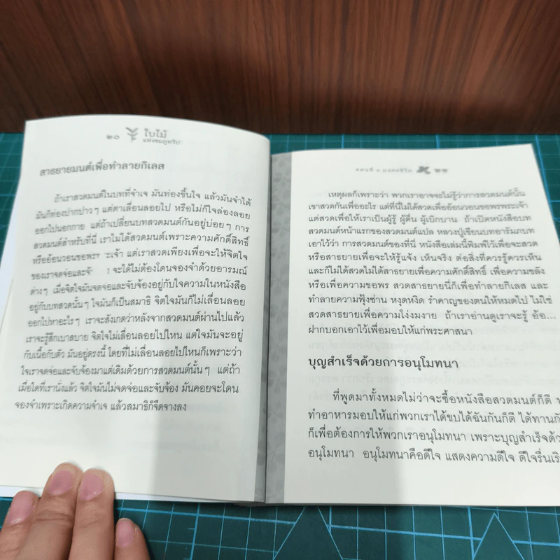 ใบไม้แห่งชมภูทวีป ตอนที่ 6 มงคลชีวิต - หลวงปู่พุทธะอิสระ รูปที่ 9
