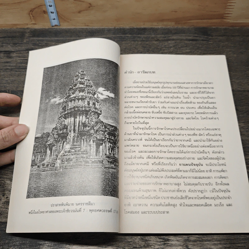 การใช้สมุนไพรรักษาโรคของผู้ใหญ่ - ศ.นพ.วีรสิงห์ เมืองมั่น รูปที่ 6