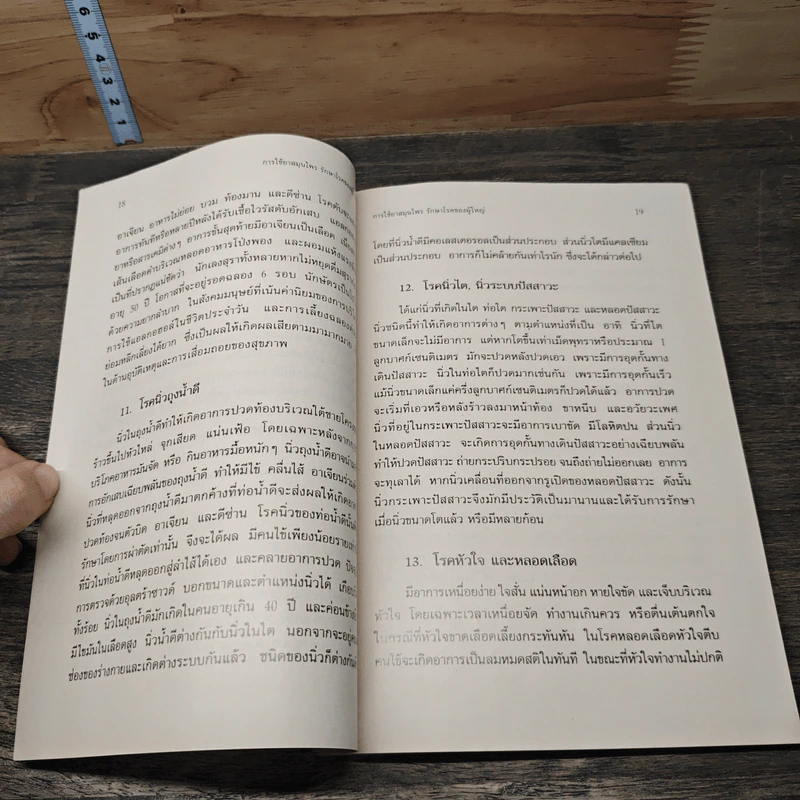การใช้สมุนไพรรักษาโรคของผู้ใหญ่ - ศ.นพ.วีรสิงห์ เมืองมั่น รูปที่ 8