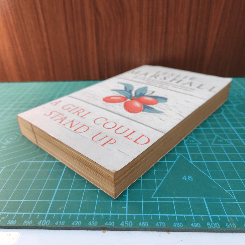A Girl Could Stand Up - Leslie Marshall รูปที่ 3