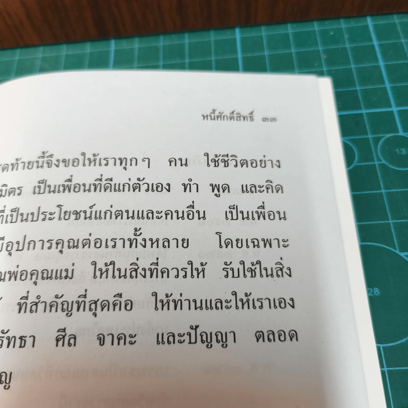 หนี้ศักดิ์สิทธิ์ - ชยสาโรภิกขุ รูปที่ 9