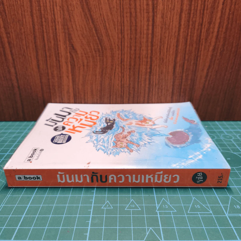 มันมากับความเหมียว - วิชัย รูปที่ 2