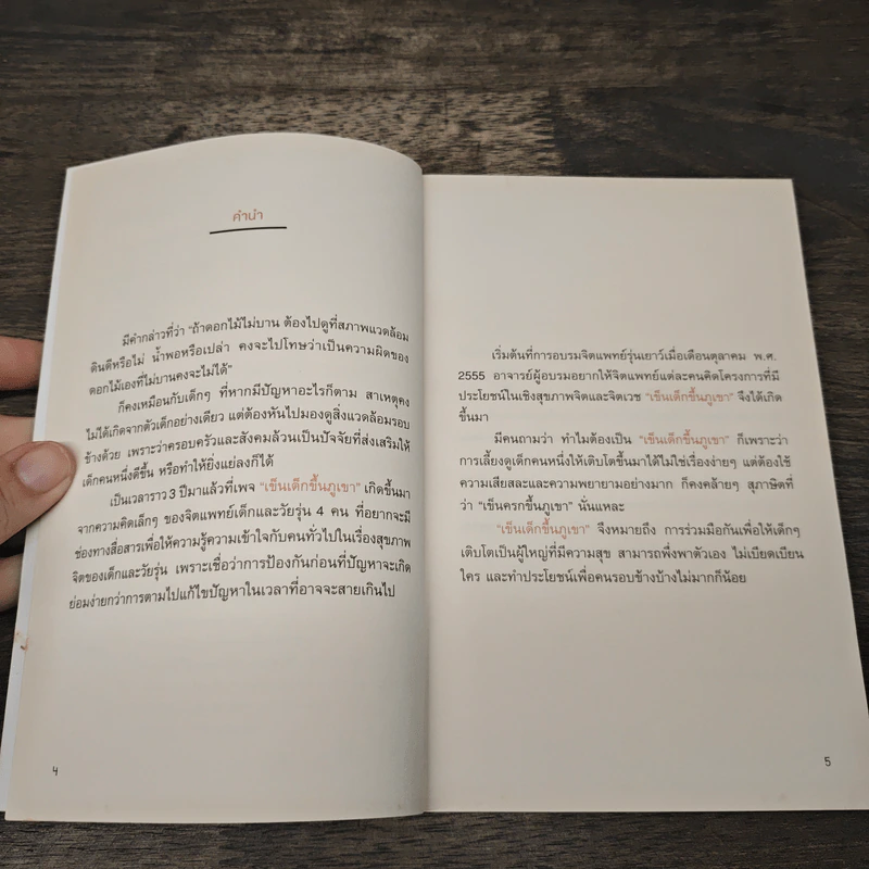 เข็นเด็กขึ้นภูเขา - พ.ญ. เบญจพร ตันตสูติ รูปที่ 7