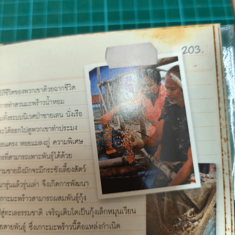 เที่ยวให้รู้เปิดประตูสมอง รูปที่ 12