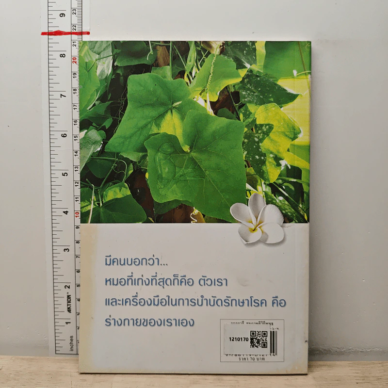 ยอดยาดี สุขภาพดี วิถีพุทธ - ใจเพชร กล้าจน (หมอเขียว) รูปที่ 5