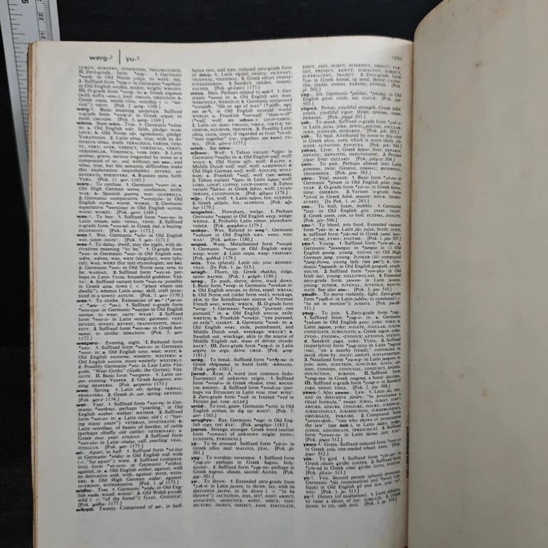 The American Heritage Dictionary of the English Language รูปที่ 10