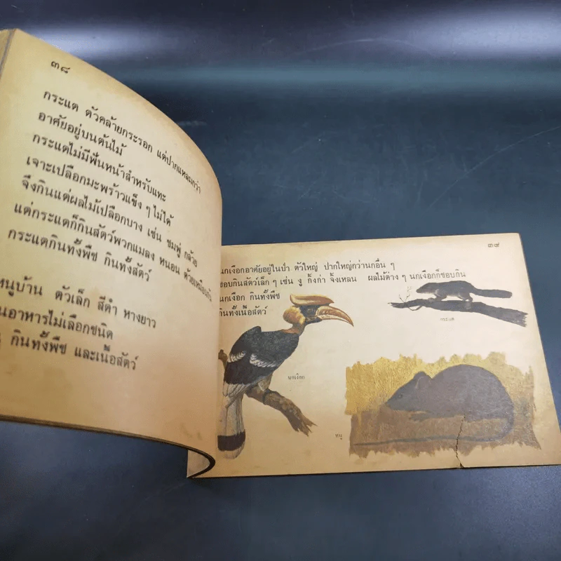 อาหารที่เรากิน ระดับประถมศึกษา - กระทรวงศึกษาธิการ รูปที่ 7