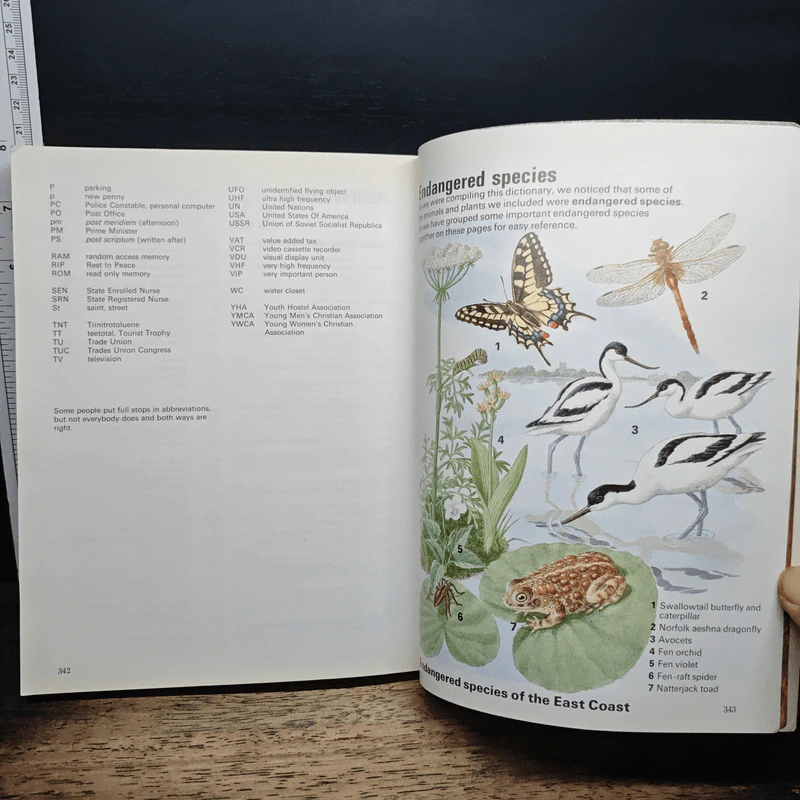 Collins Junior Dictionary รูปที่ 9