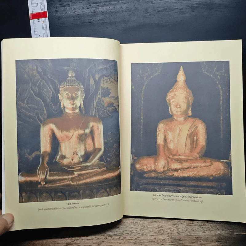 พระพุทธปฏิมาเมืองไทย - สมบัติ จำปาเงิน รูปที่ 11