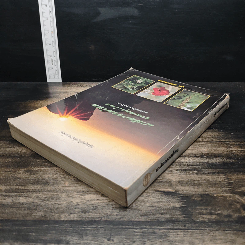 เภสัชกรรมไทย รวมสมุนไพร ฉบับปรับปรุงใหม่ - วุฒิ วุฒิธรรมเวช รูปที่ 5