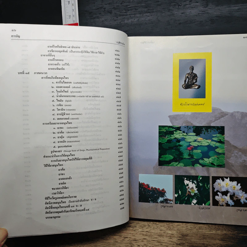 เภสัชกรรมไทย รวมสมุนไพร ฉบับปรับปรุงใหม่ - วุฒิ วุฒิธรรมเวช รูปที่ 14