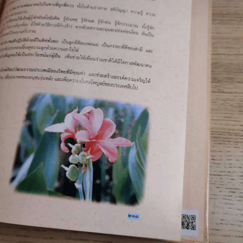 สตรีไทย - คณะกรรมการส่งเสริมและประสานงานสตรีแห่งชาติ (กสส.) สำนักนายกรัฐมนตรี รูปที่ 13