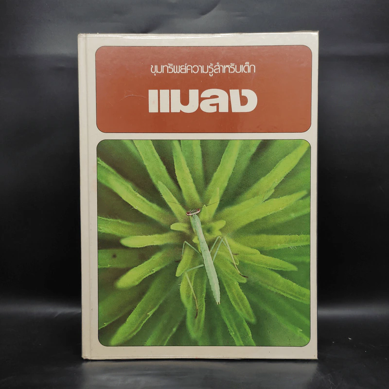 ขุมทรัพย์ความรู้สำหรับเด็ก แมลง รูปที่ 1