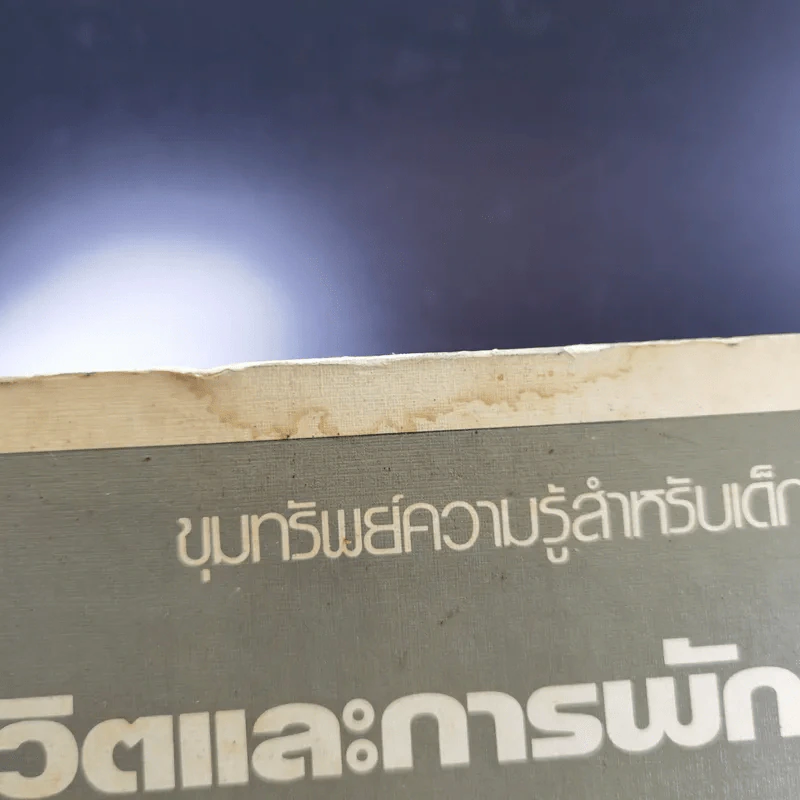 ขุมทรัพย์ความรู้สำหรับเด็ก ชีวิตและการพักผ่อน รูปที่ 3