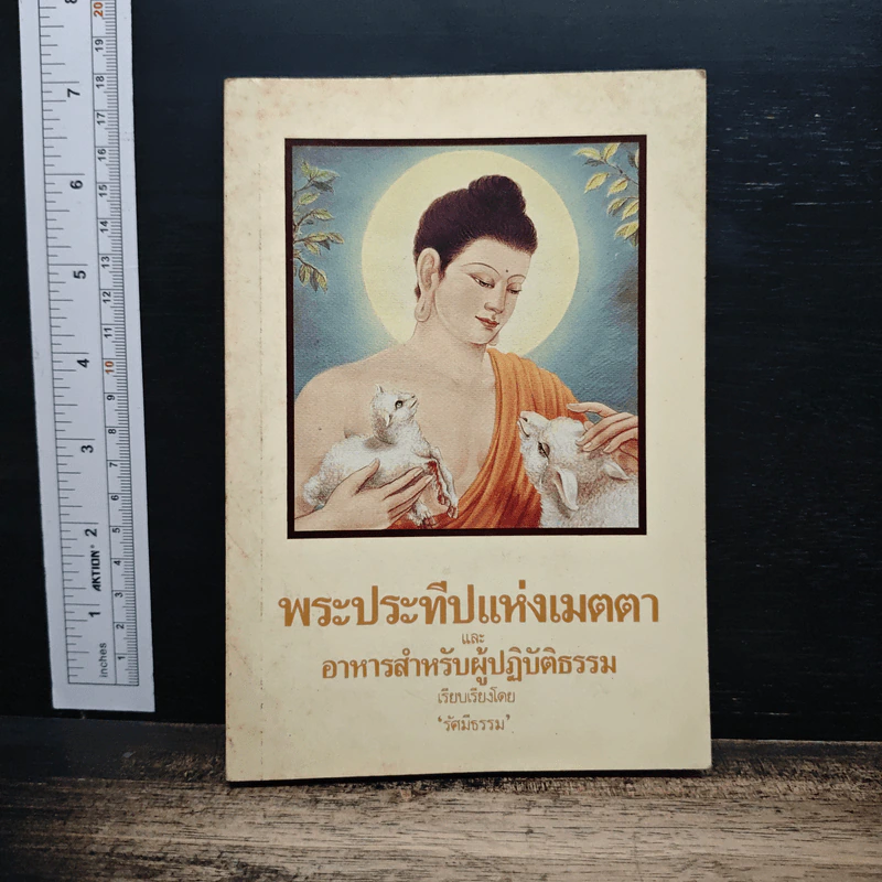 พระประทีปแห่งเมตตา และ อาหารสำหรับผู้ปฏิบัติธรรม - รัศมีธรรม รูปที่ 1