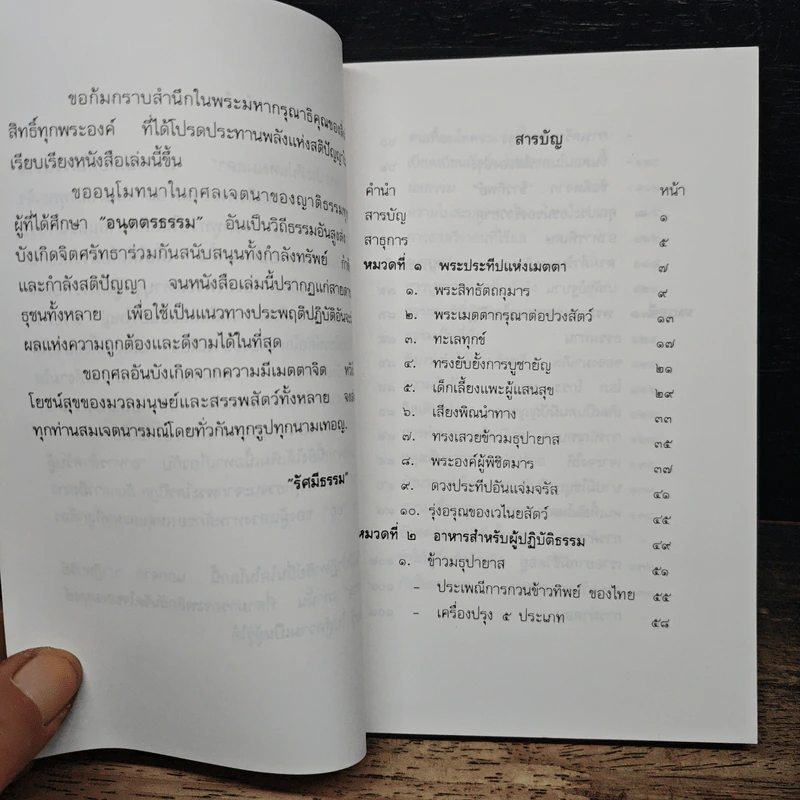 พระประทีปแห่งเมตตา และ อาหารสำหรับผู้ปฏิบัติธรรม - รัศมีธรรม รูปที่ 6
