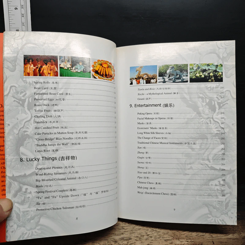 Things Chinese - Du Feibao รูปที่ 10