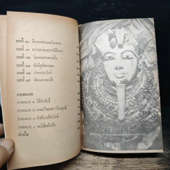 เปิดสุสานตุตันคาเมน รูปที่ 7