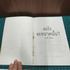อะไรจะขนาดนั้น - ดำรงค์ อารีกุล รูปที่ 6